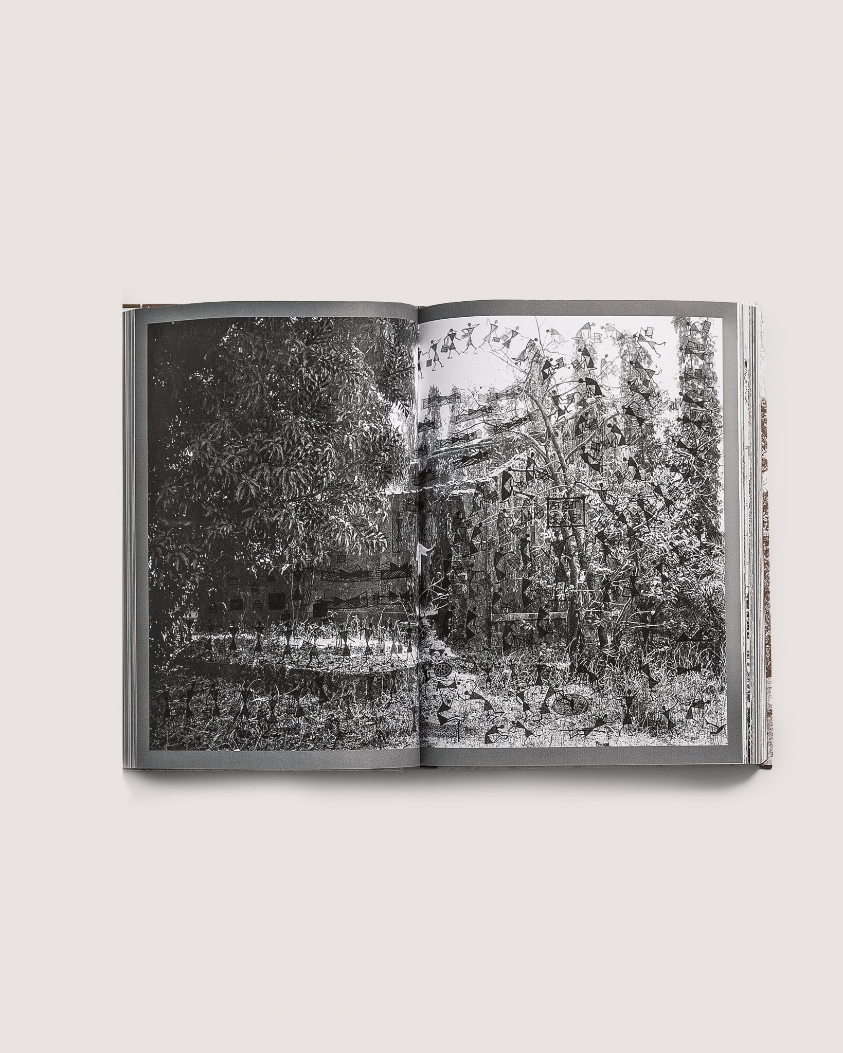 Satta | Fields of sight
